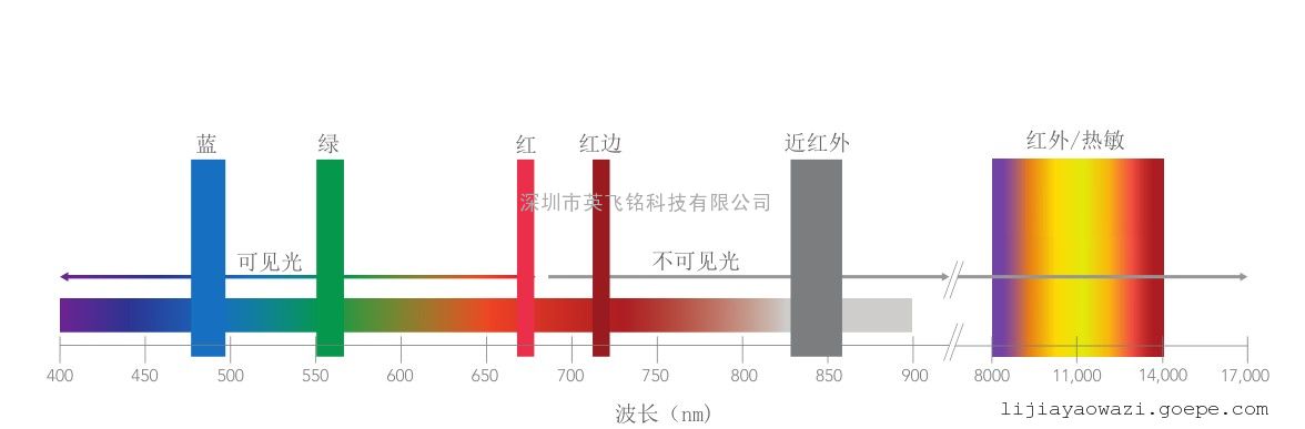 Micasense Altum多光谱/热成像/RGB三合一遥感相机